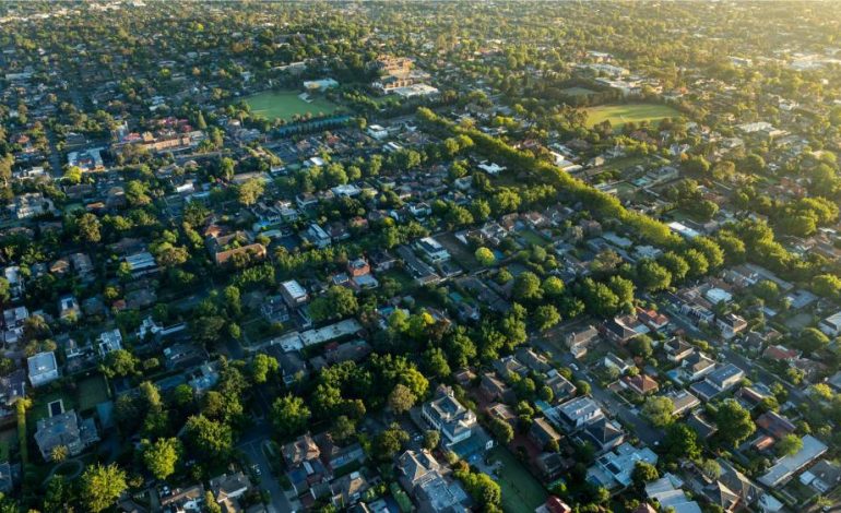 Urban Ecology Green Spaces and Biodiversity in Cities