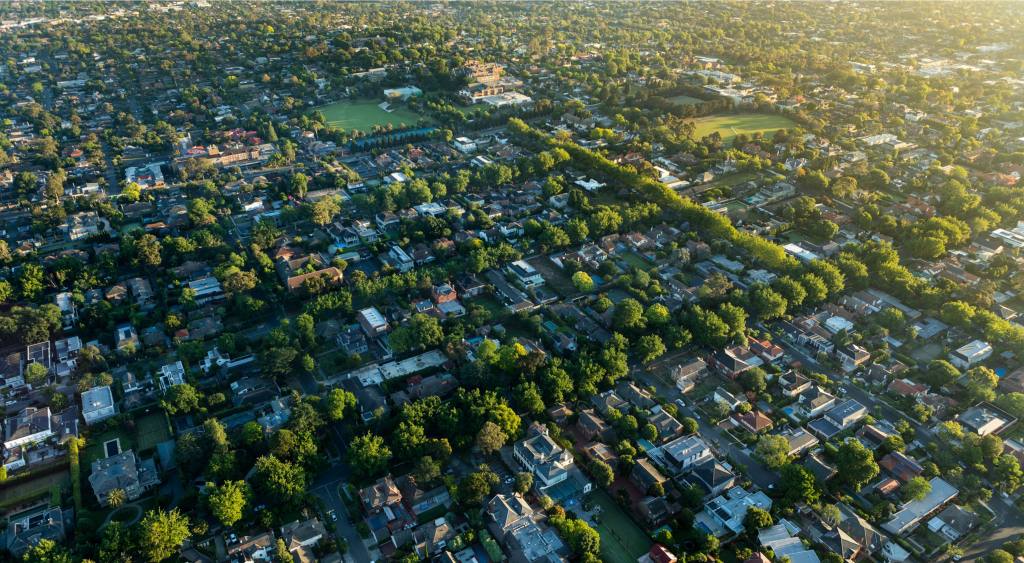 Urban Ecology Green Spaces and Biodiversity in Cities